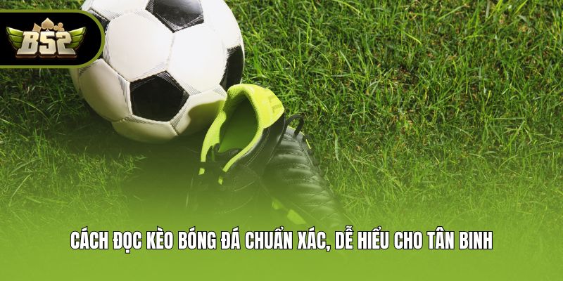 Cách Đọc Kèo Bóng Đá Chuẩn Xác, Dễ Hiểu Cho Tân Binh