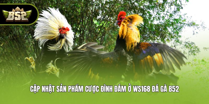 Cập nhật sản phẩm cược đình đám ở WS168 đá gà B52