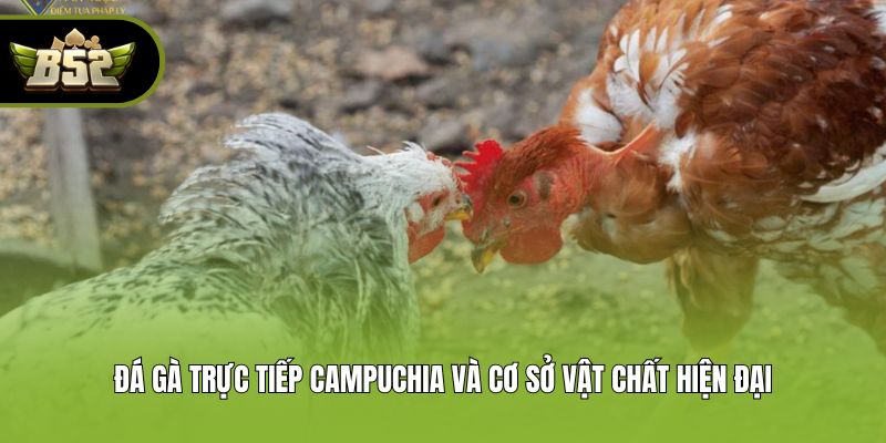 Đá gà trực tiếp Campuchia và cơ sở vật chất hiện đại