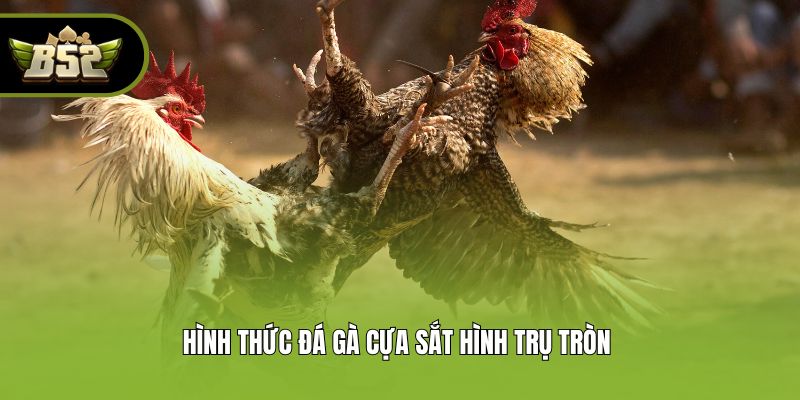 Hình thức đá gà cựa sắt hình trụ tròn 