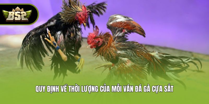 Quy định về thời lượng của mỗi ván đá gà cựa sắt