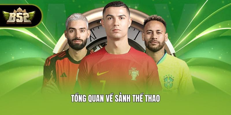 Tổng quan về sảnh thể thao