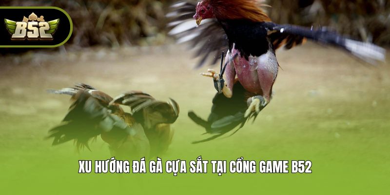 Xu hướng đá gà cựa sắt tại cổng game B52